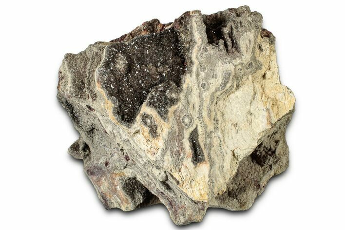 Glittering Petrified Wood with Druzy Quartz - Alabama #325348